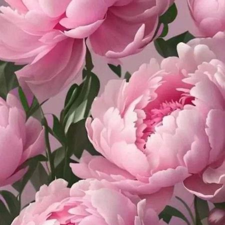 La Peonia Leilighet Vitorchiano Eksteriør bilde